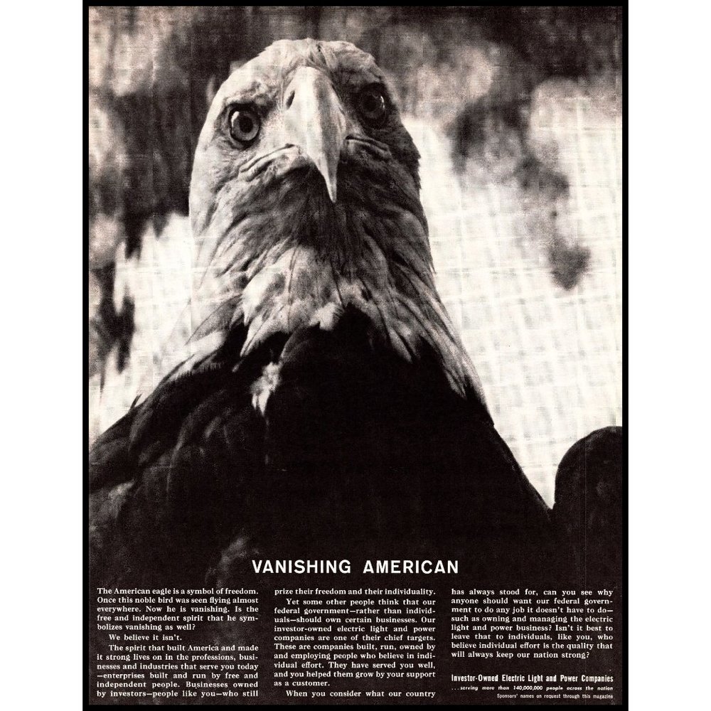 1963 Electric Light and Power Company Bald Eagle Vintage Print Ad Wall Art Photo